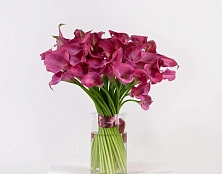 Букет вечерняя заря - изображение-