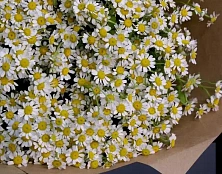 Букет поляна в миниатюре - изображение-1