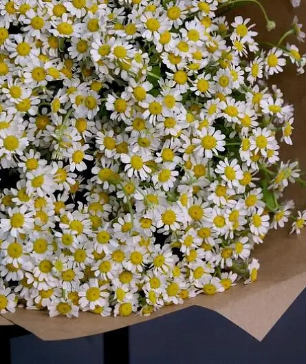 Букет поляна в миниатюре - изображение-1