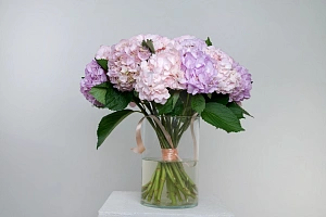 Букет лиловые объятия