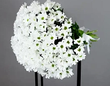 Букет ромашковый каприз - изображение-2