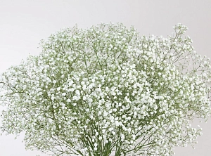 Букет белоснежное облако - фото-3