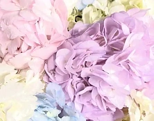 Букет волшебство оттенков - изображение-1