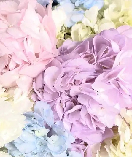 Букет волшебство оттенков - изображение-1