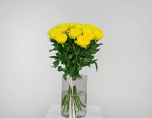 Букет солнечный заряд - фото-1