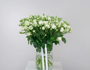 Букет белый лис