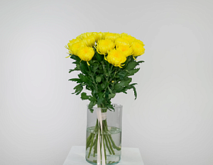 Букет солнечный заряд