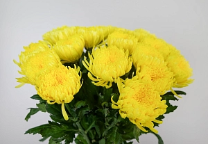 Букет солнечный заряд - фото-3