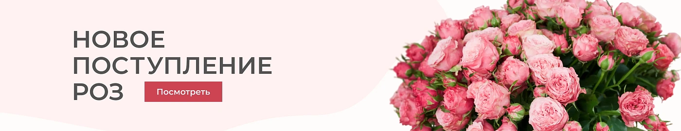 Новое поступление роз