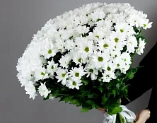 Букет ромашковый каприз - изображение-