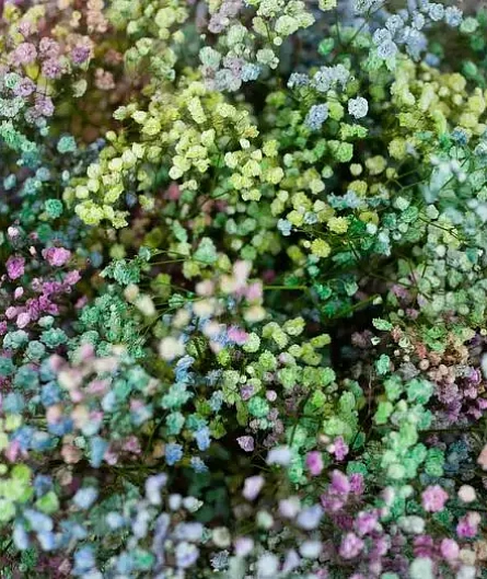 Букет сказка в облаках - изображение-1