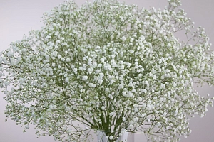 Букет белоснежное облако - фото-2