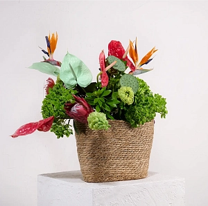 Букет вдохновение природы