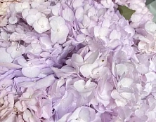 Букет лиловое облако - изображение-3