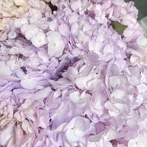 Букет лиловое облако - фото-3