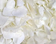 Букет облако чистоты - изображение-2