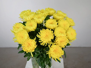 Букет солнечный заряд - фото-2